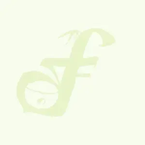 Pumpkin White Chocolate Cookie - Fuze Food, Invermere